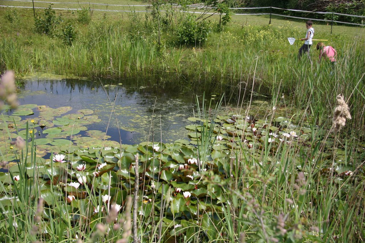 B&B De Oude Molensteen Eelde-Paterswolde Bagian luar foto